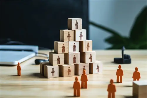 益生菌日历解读