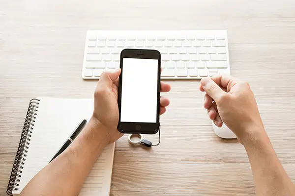 意大利护照解读